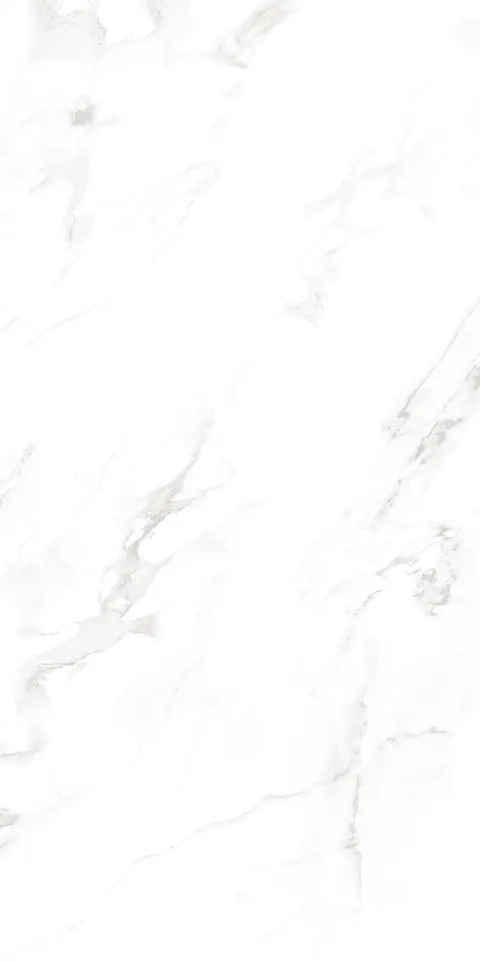 SMOKE WHITE SILK view 3